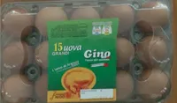 Gino