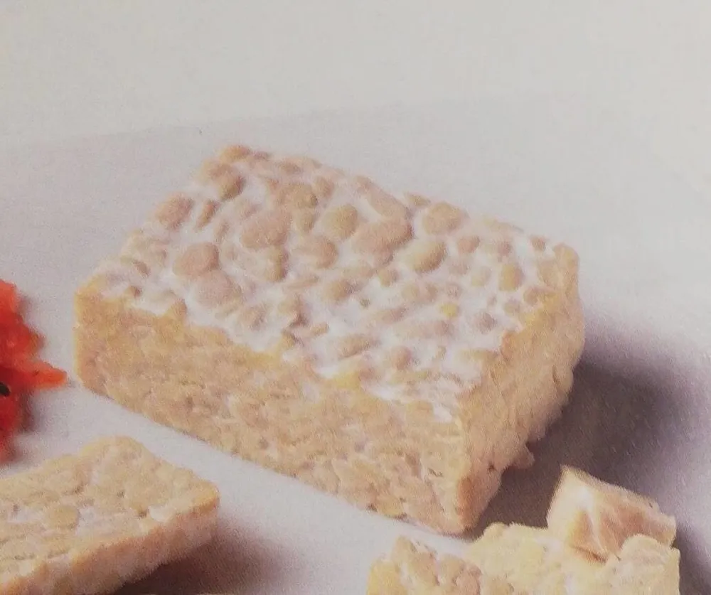 Tempeh