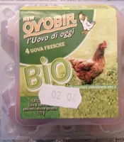 Uova fresche