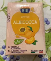 Albicocca