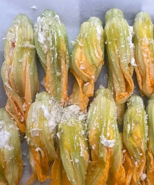 Fiori di zucca