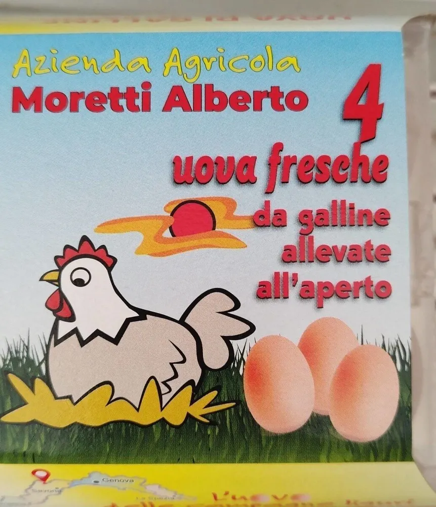 Uova di gallina allevate all aperto