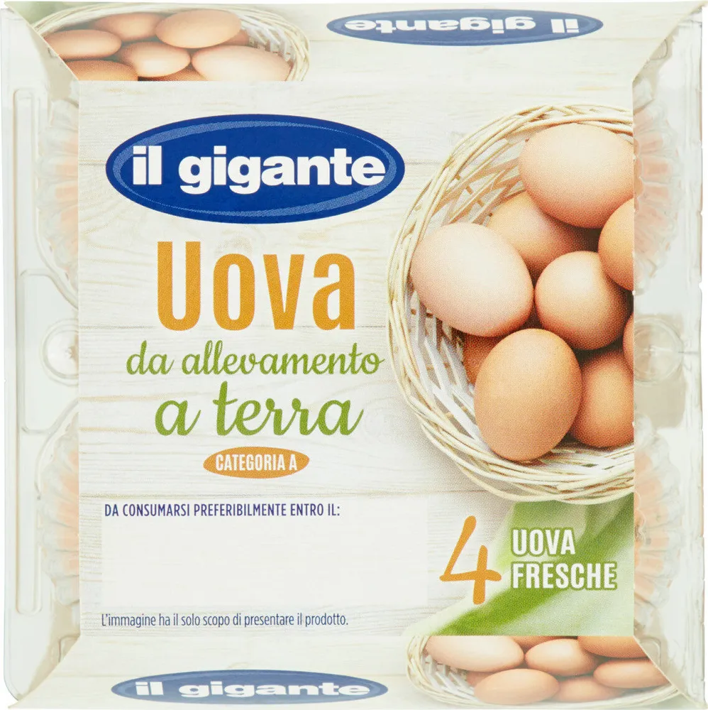 Uova da allevamento a terra uova