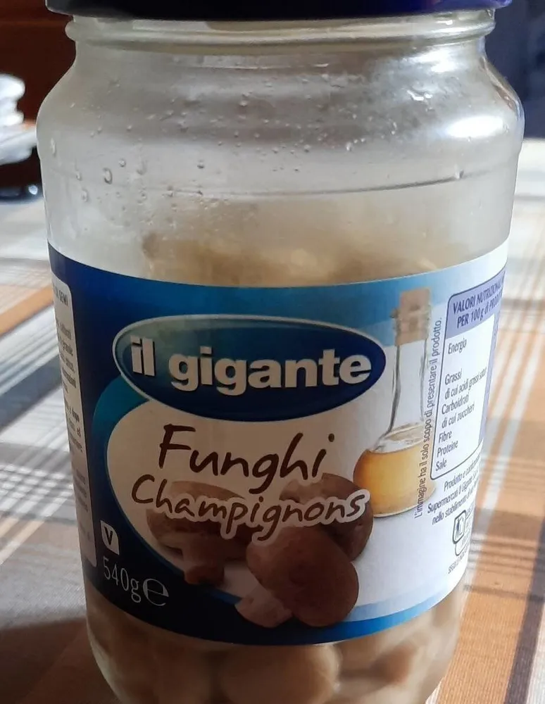 Funghi champignons