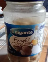 Funghi champignons