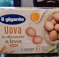 Uova fresche medie