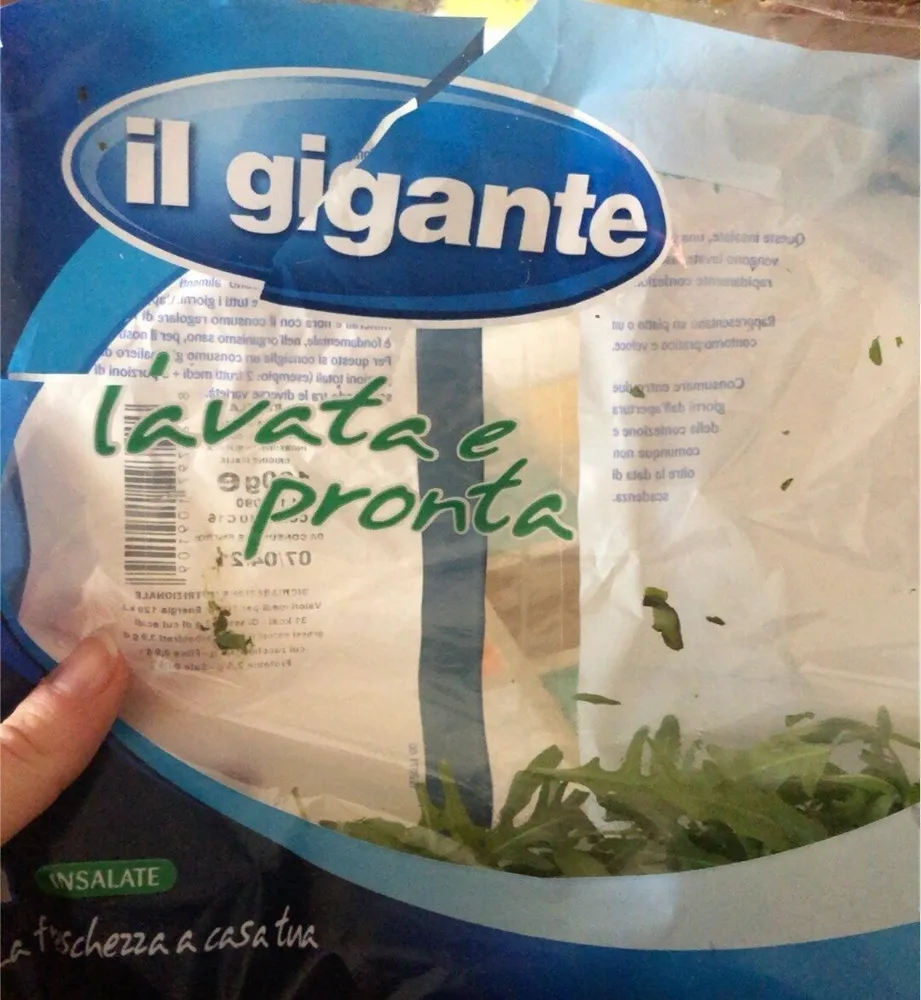 Rucola
