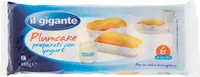 Plumcake preparati con yogurt plumcake