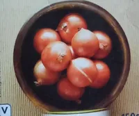 Cipolle tritate