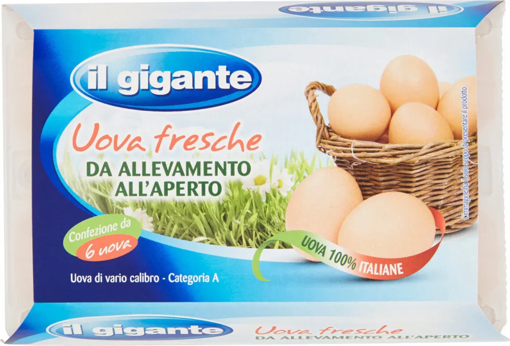 Uova fresche da allevamento all'aperto