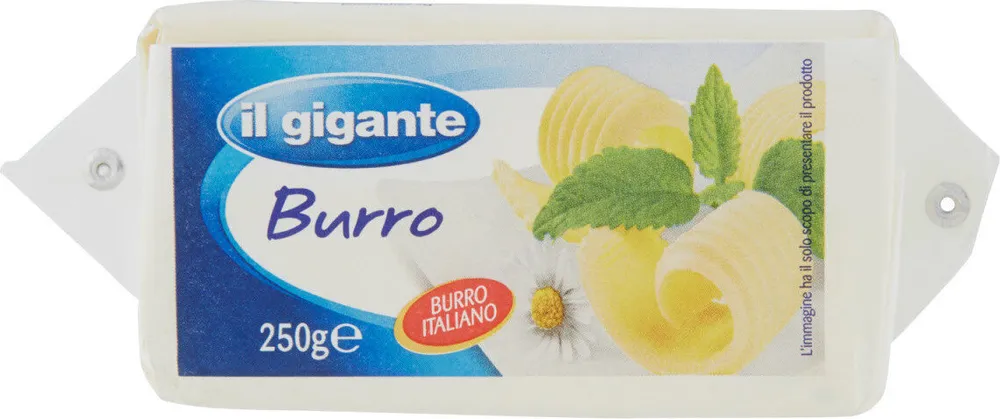 Burro
