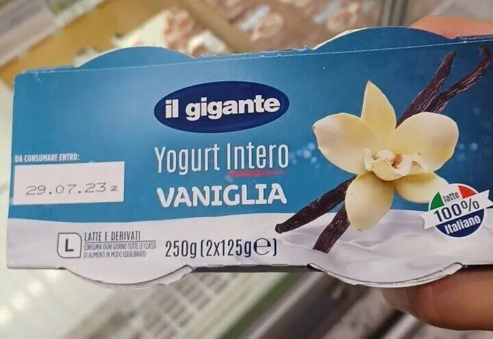 Yogurt intero vaniglia