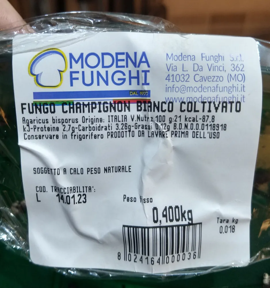 Fungo champignon bianco coltivato
