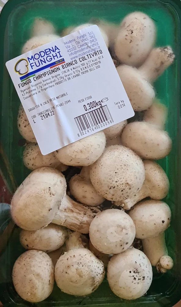 Funghi champagne bianco Coltivato