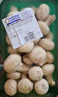 Funghi champagne bianco Coltivato