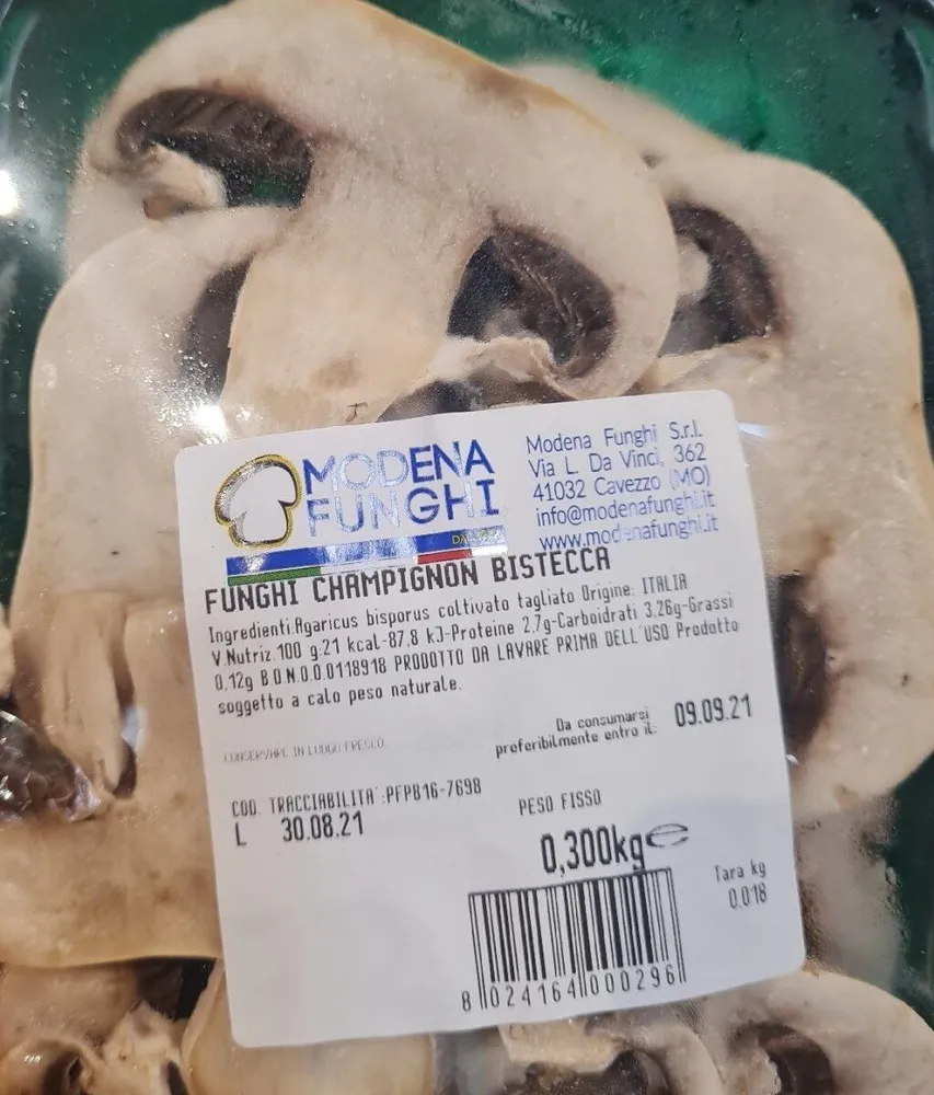 Funghi champignon bistecca
