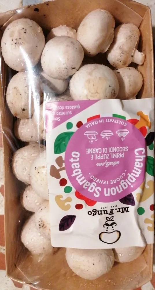Funghi coltivati