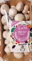 Funghi coltivati