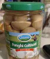 Funghi coltivati sott' olio
