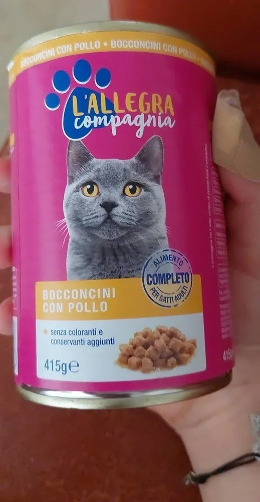 Cibo per gatti