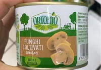 Funghi coltivati trifolati