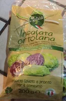 Insalata ortolana
