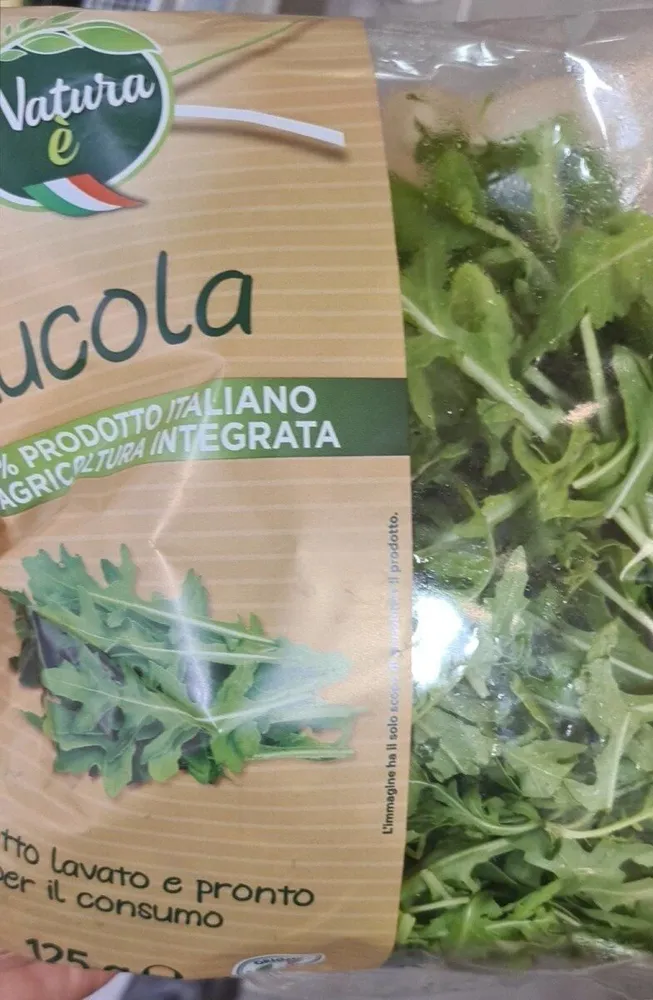 Rucola
