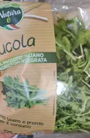 Rucola