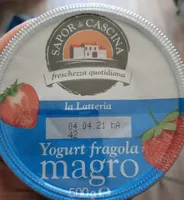Yogurt magro alla frutta fragoka