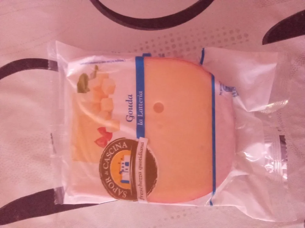 Gouda