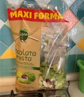 Insalata mista