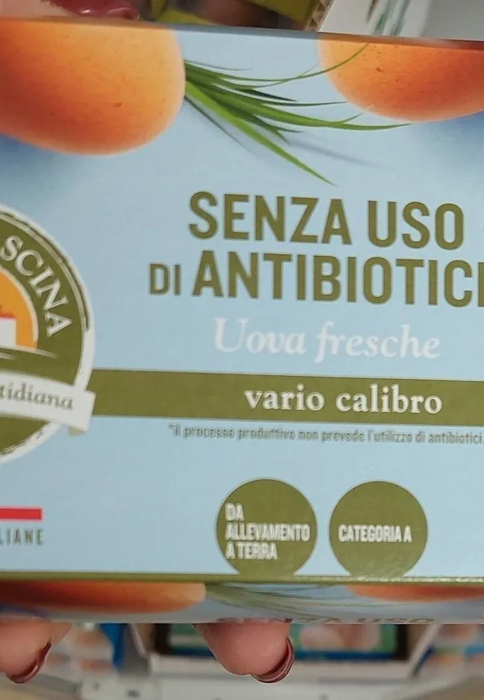 Uova fresche vario calibro