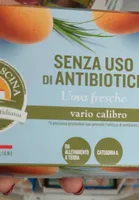 Uova fresche vario calibro