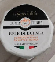 Brie di bufala