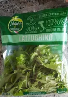 Lattughino
