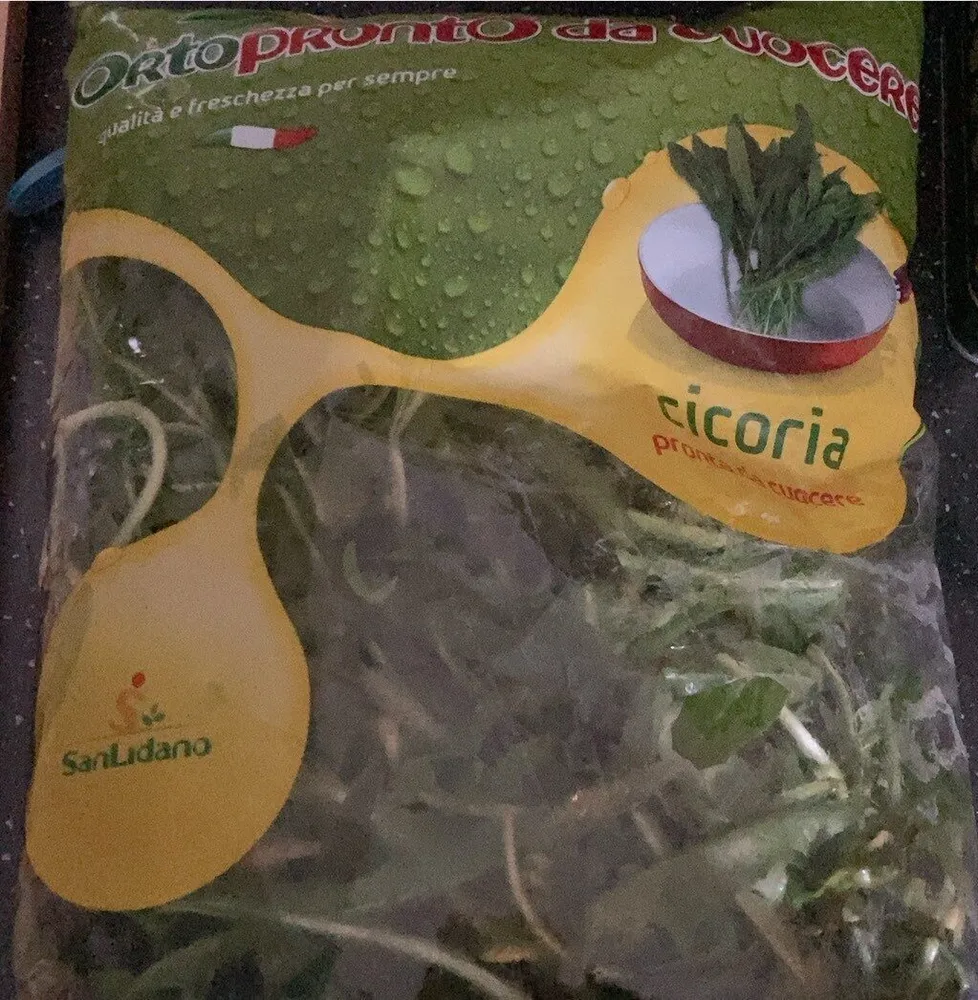 Cicoria ortopronto
