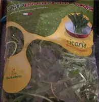 Cicoria ortopronto