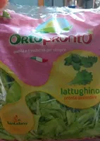 Lattughino pronta da condire