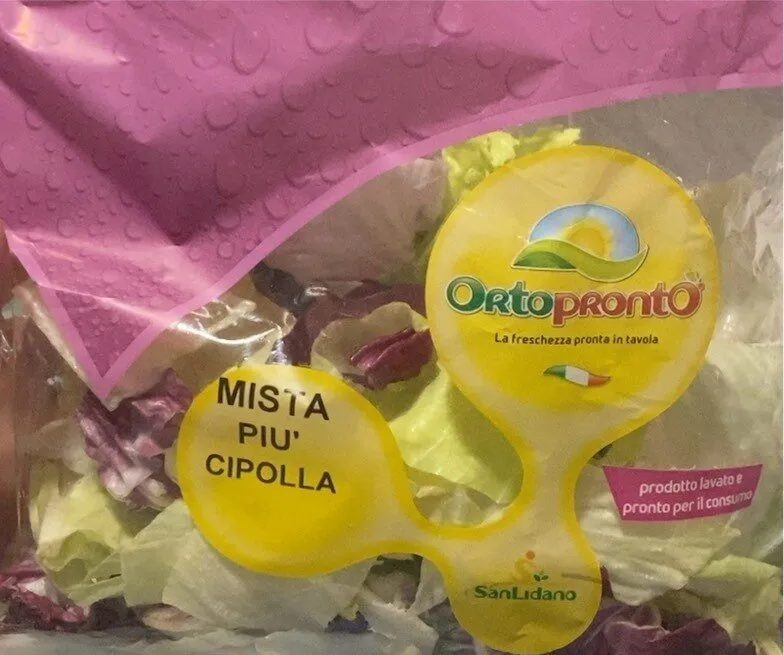 insalata mista più cipolle