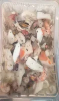 Antipasto di mare