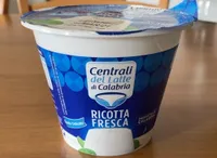 Ricotta fresca delicata