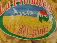 Pasta di semola