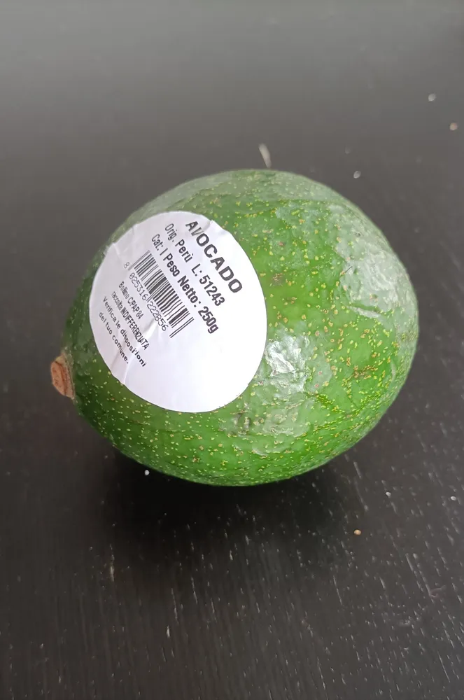 Avocado