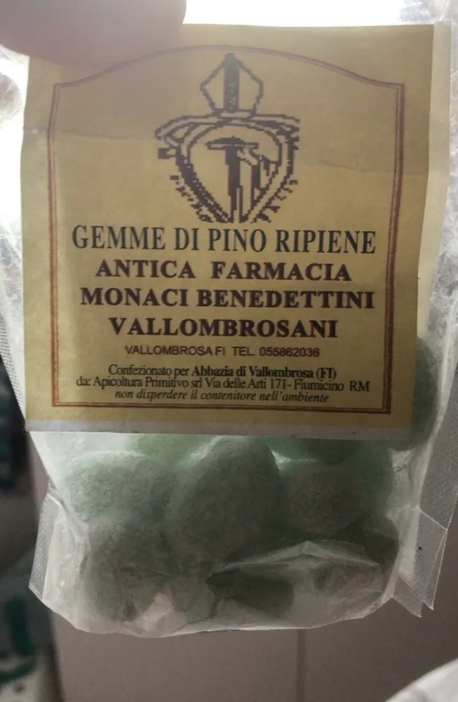 Gemme di pino ripiene