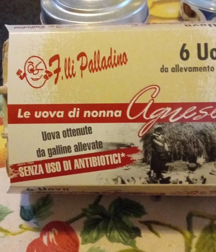 Uova fresche