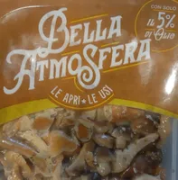 Funghi fantasia di bosco 4 varietà