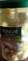 Funghi coltivati