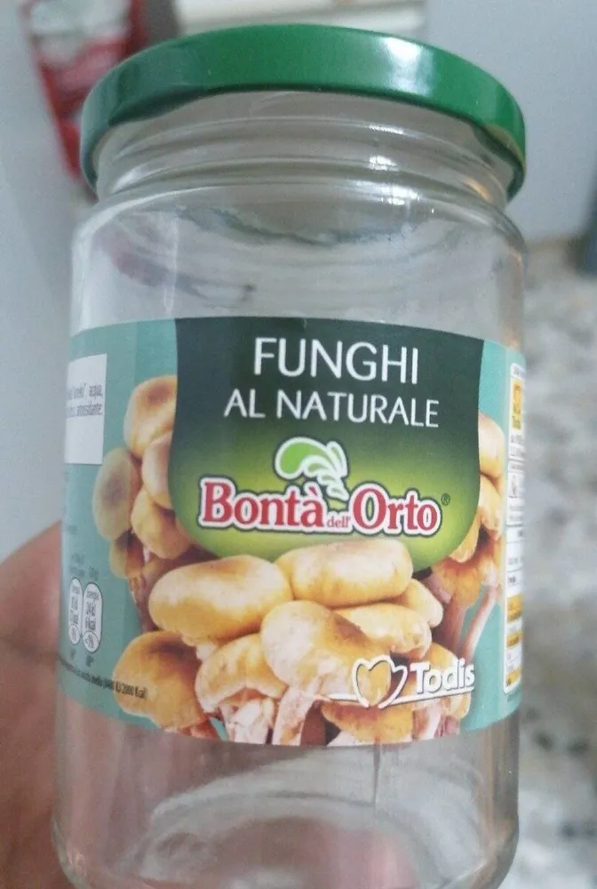 Funghi al naturale