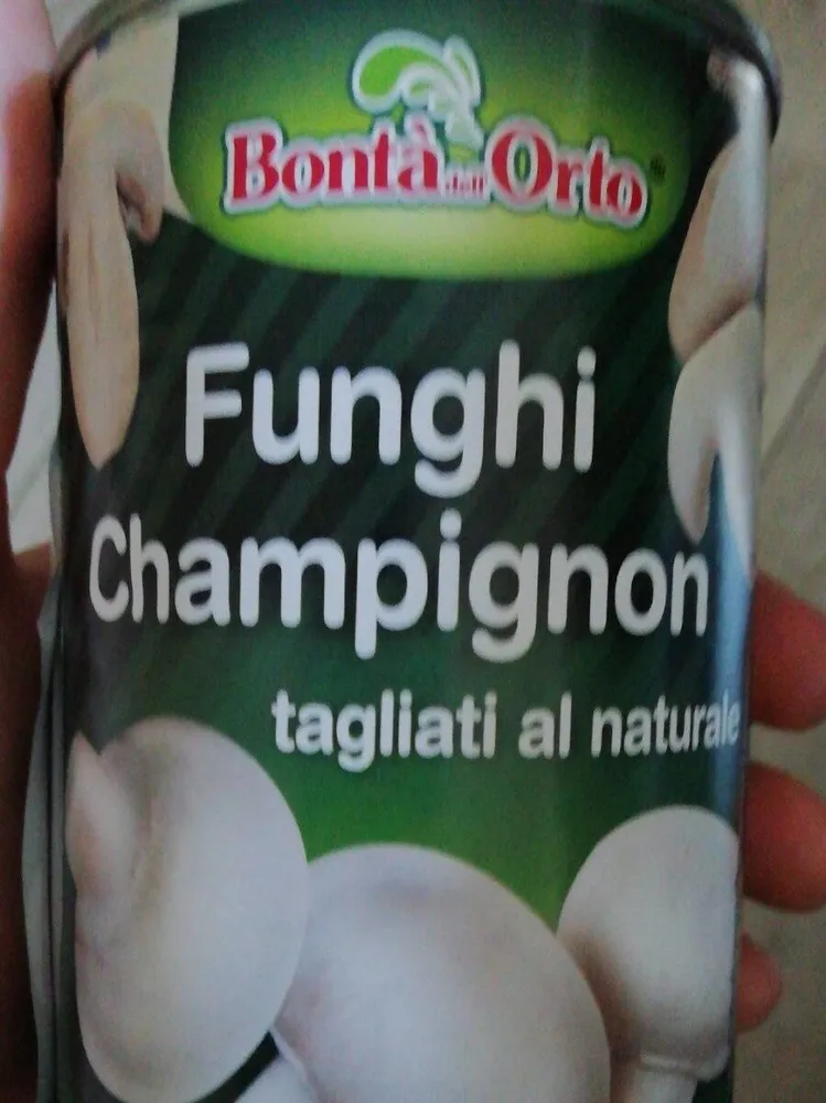 Funghi champignon