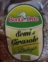 Semi di girasole